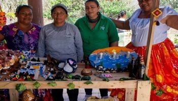 ¿Sabías que en Olaya hay un tour? Conoce el proyecto comunitario donde puedes conocer manglares y más
