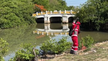 Veolia recolectó 11,2 toneladas de residuos en jornada de limpieza en la Avenida del Lago