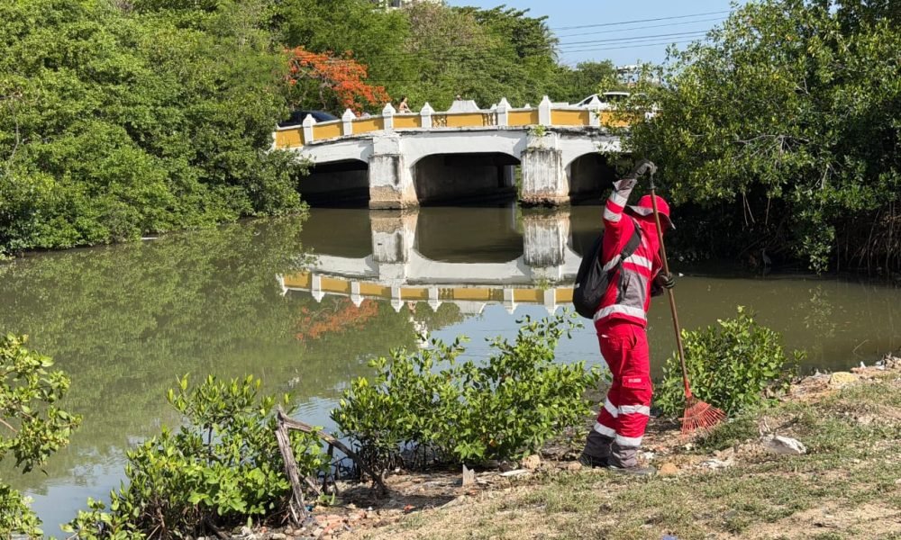 Veolia recolectó 11,2 toneladas de residuos en jornada de limpieza en la Avenida del Lago