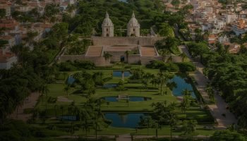 Distrito sembrará 115 mil árboles en toda la Cartagena: quieren que la ciudad sea más verde en 2025