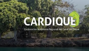 Cardique advierte sobre gran contaminación en playas de Barú: encontraron eses fecales y vertimientos no autorizados