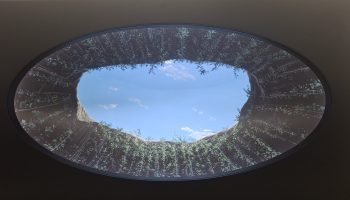 “Vértice y Horizonte” la nueva exposición artística de Nadir Figueroa en Elsa Piñeres Galería