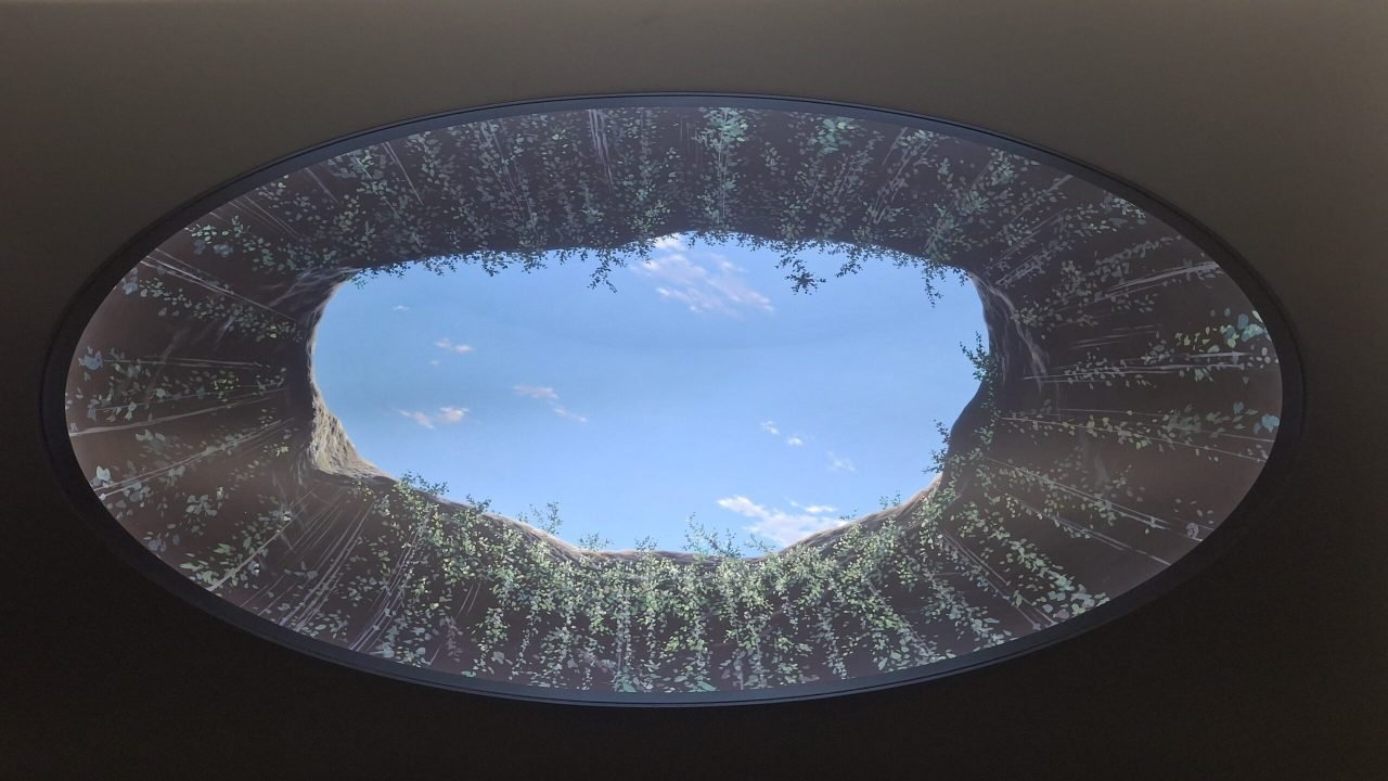 ab6a7ad1-fec6-46a1-9a69-4338a7da985f