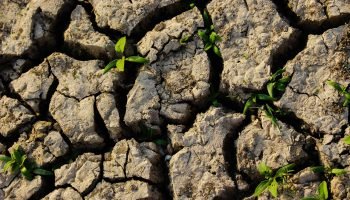 El impacto del cambio climático en la agricultura