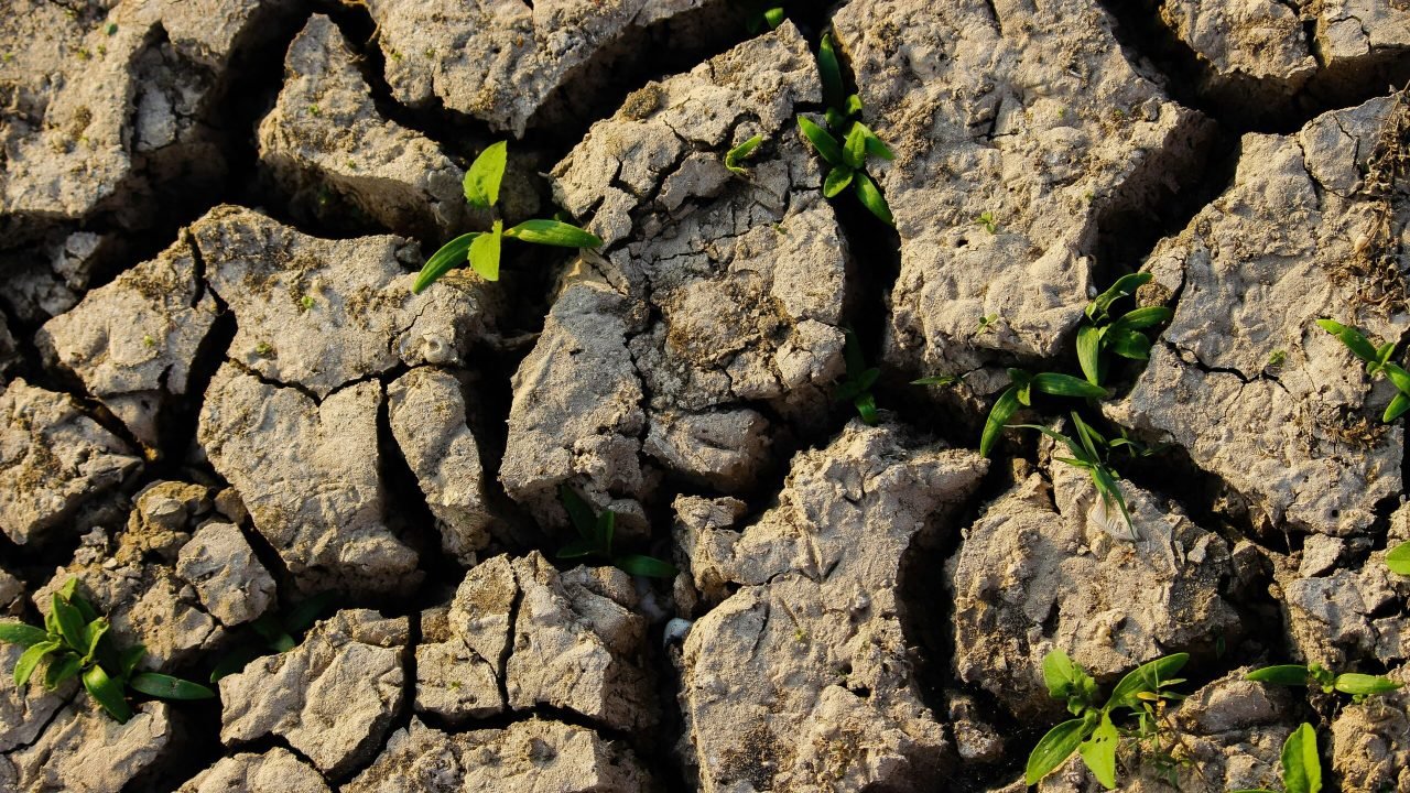 Cambio climático