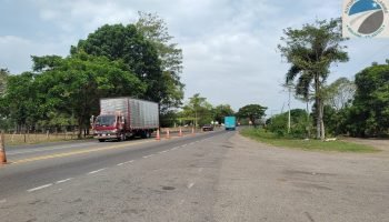 ¿Cómo proteger el ecosistema al construir vías? Autopistas del Caribe te cuenta su proceso