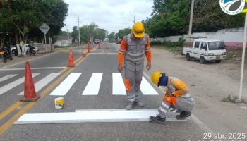 Autopistas del Caribe refuerza la seguridad vial con mantenimiento en cruces peatonales en Bolívar y Atlántico