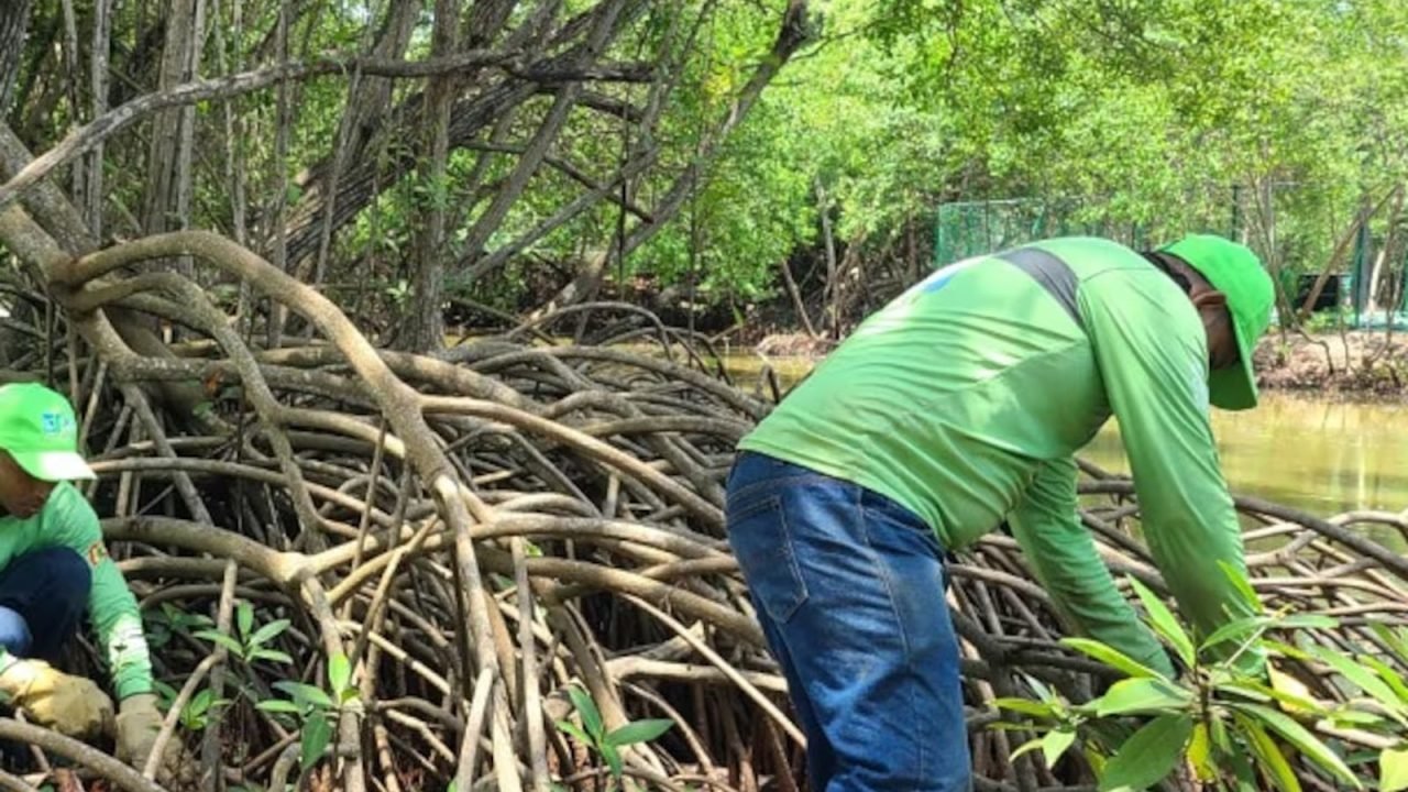 c84f2902-06bd-42e6-b013-a18329076373