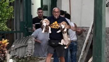 Tras el fuerte terremoto que sacudió Caracas, un hombre regresó a su casa para rescatar a sus mascotas 