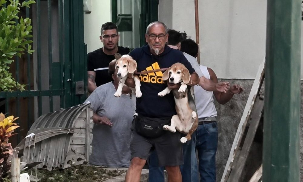Tras el fuerte terremoto que sacudió Caracas, un hombre regresó a su casa para rescatar a sus mascotas 