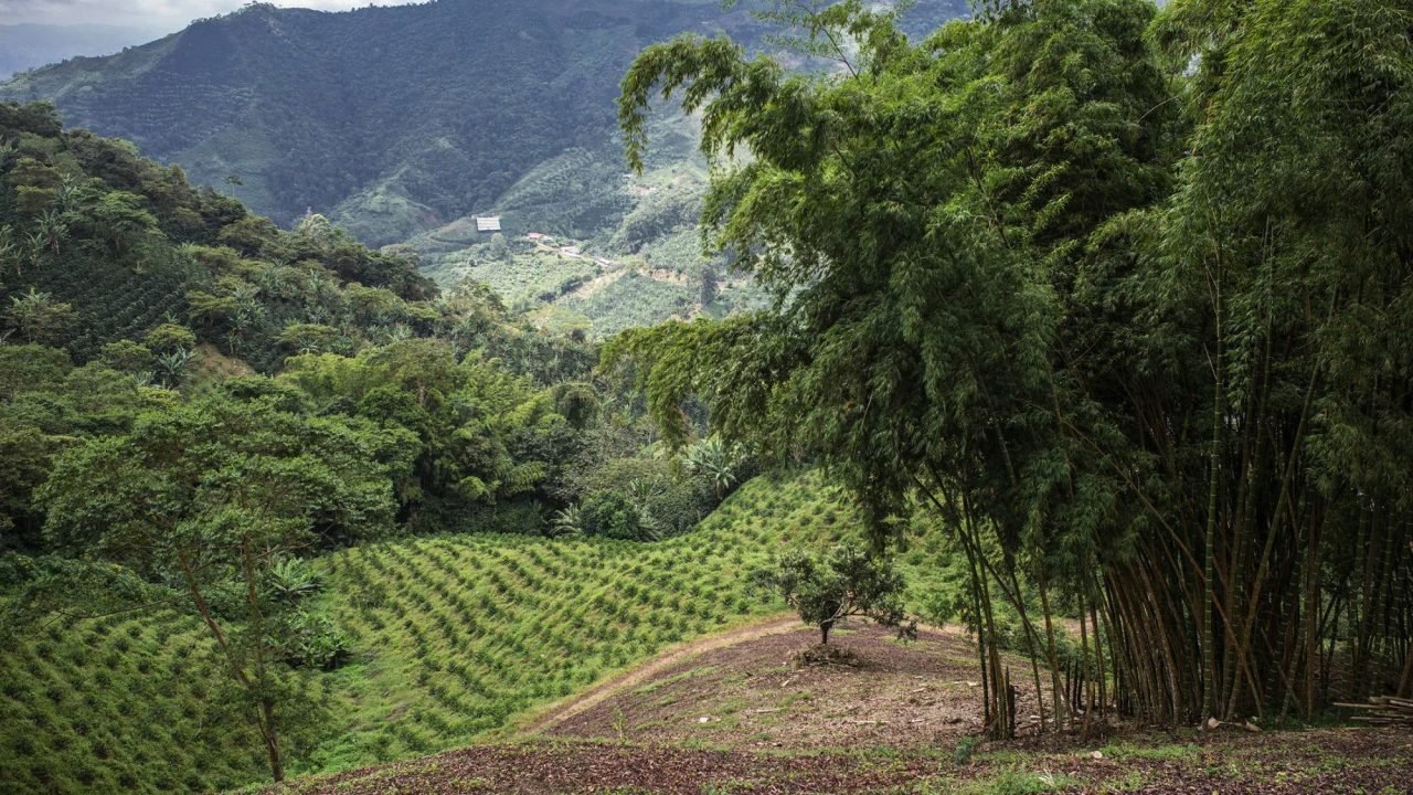colombia (1)