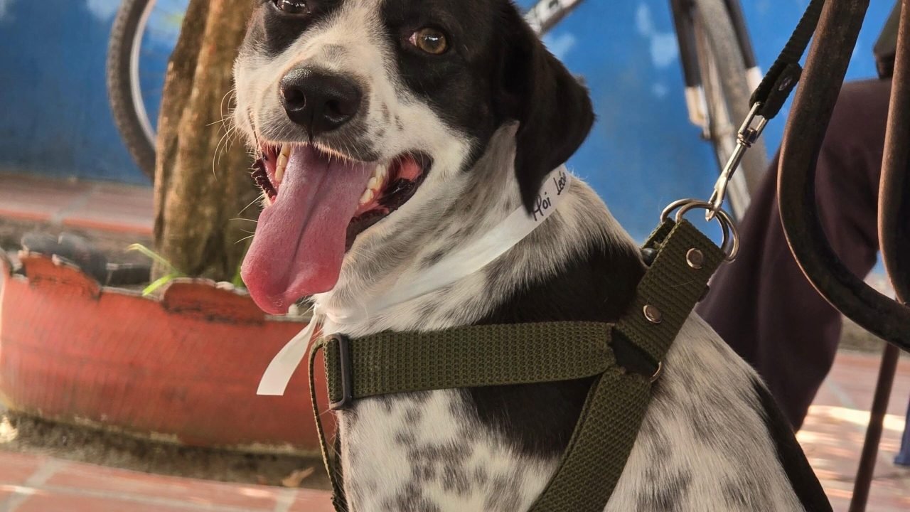 e13360f1-f1ed-435f-8345-858b019203cc