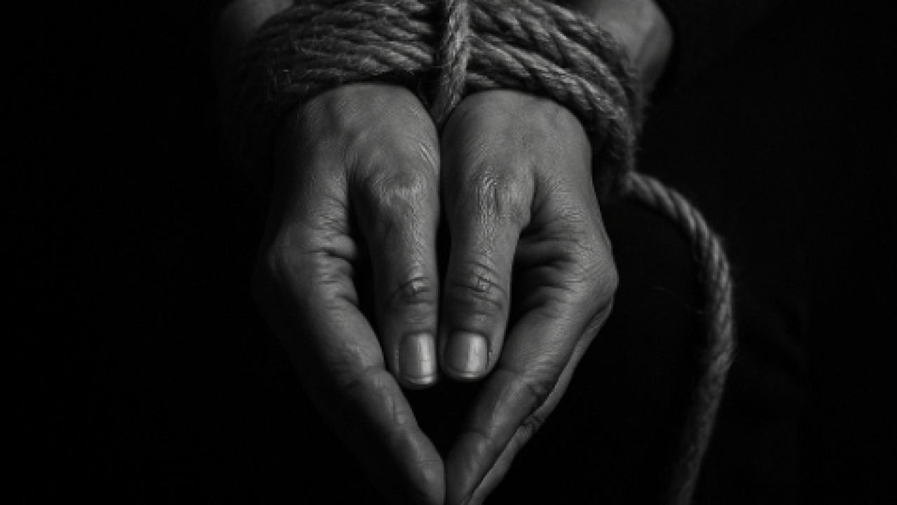 imagen_2025-10-15_100956833