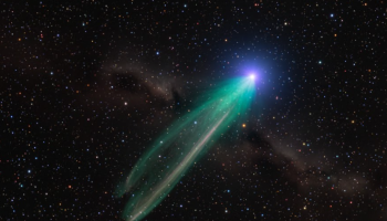 El cometa Lemmon (C/2025 A6) iluminará el cielo: cómo y cuándo observar este fenómeno único