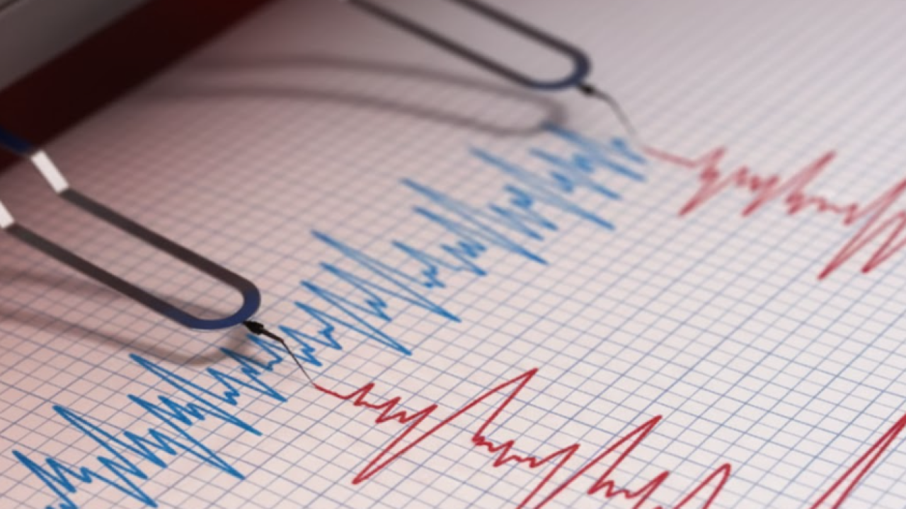 imagen_2025-10-30_113837184