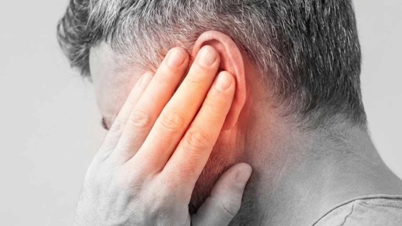 imagen_2025-12-23_125503082