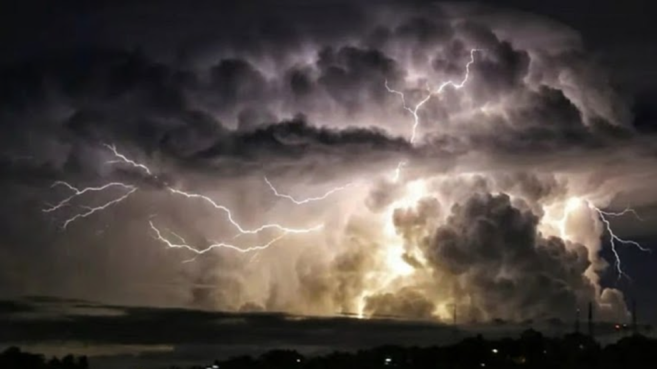 imagen_2026-01-09_135439328