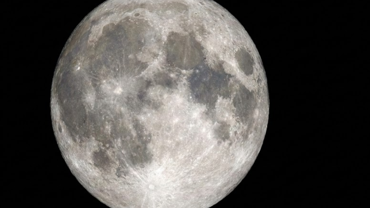 imagen_2026-01-26_104945635