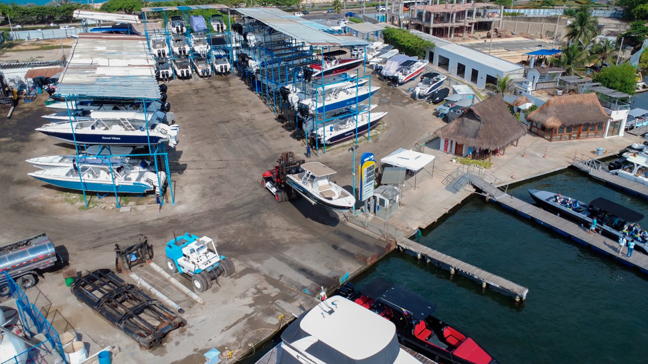 imagen_2026-02-12_123131022