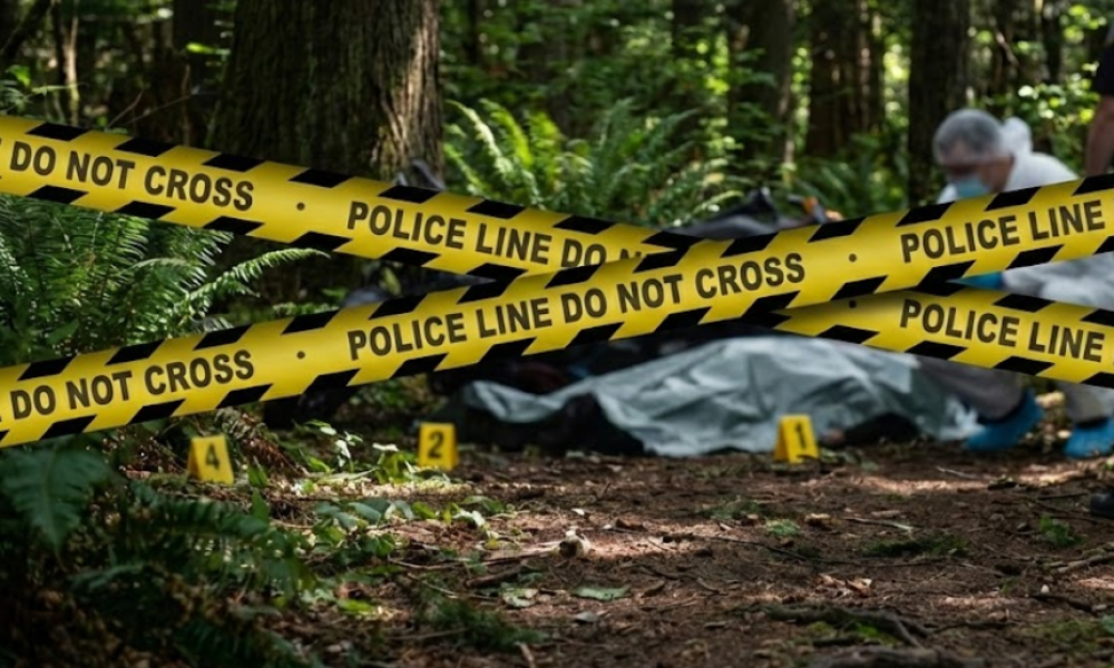 Hallan a tres integrantes de una familia muertos en vivienda de San Roque, Antioquia