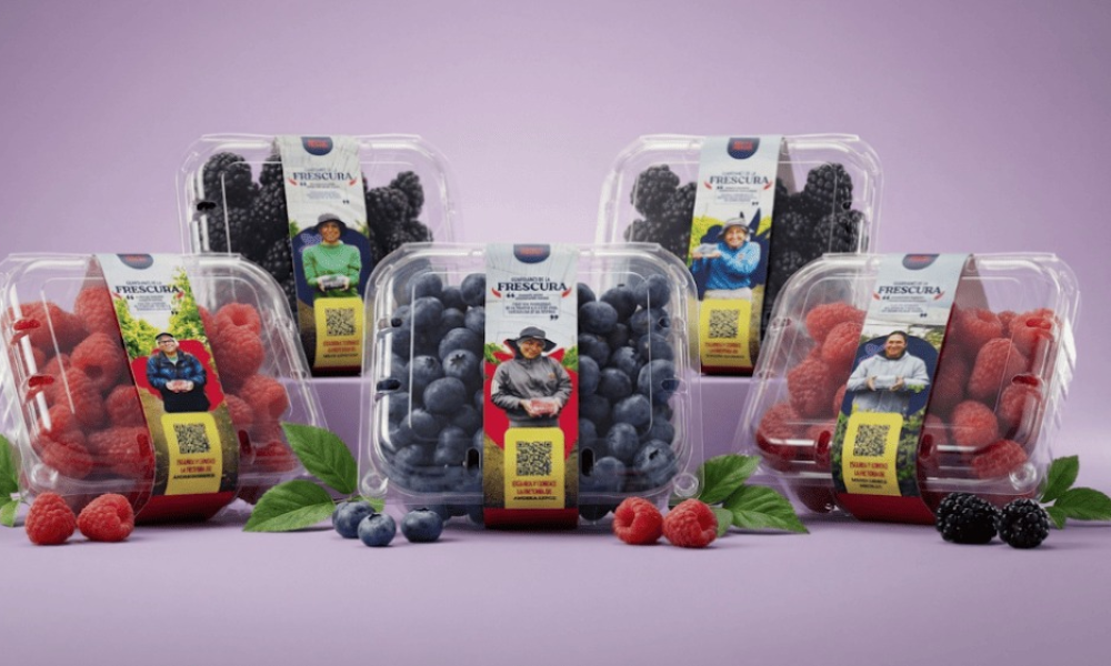 Berry House apuesta por humanizar su cadena de valor en Colombia y presenta “Guardianes de la Frescura”.