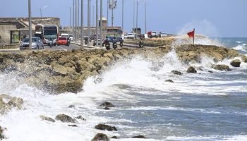 Cartagena y Bolívar unen esfuerzos contra el cambio climático: Cardique y RIESCAR lideraron foro para impulsar soluciones ambientales