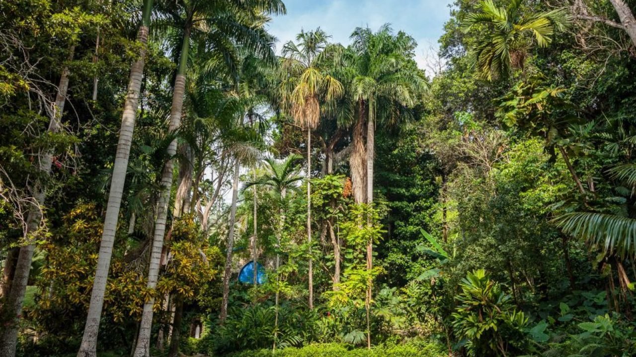 jardin_botanico_guillermo_pineres