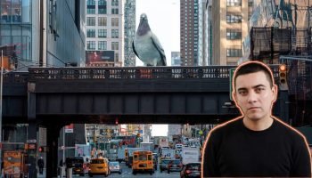 ¡Orgullo nacional! Artista colombiano exhibe su obra de una paloma gigante en calles de New York