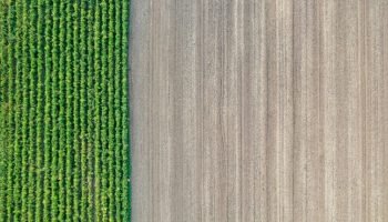 Empresa Cementos Argos da sentido a las tierras en Colombia con proyectos de sostenibilidad y bienestar