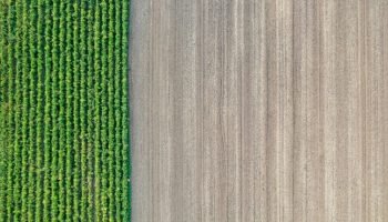 Empresa Cementos Argos da sentido a las tierras en Colombia con proyectos de sostenibilidad y bienestar